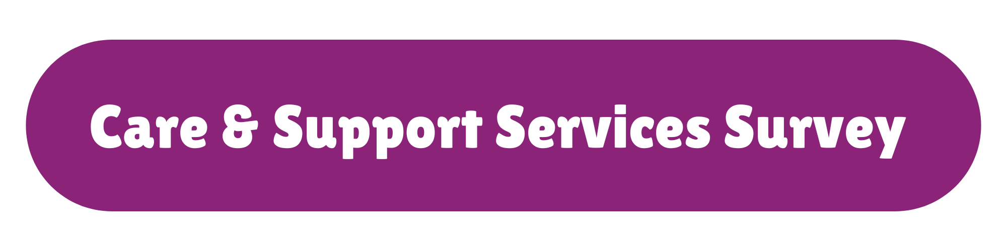 Care and Support services survey