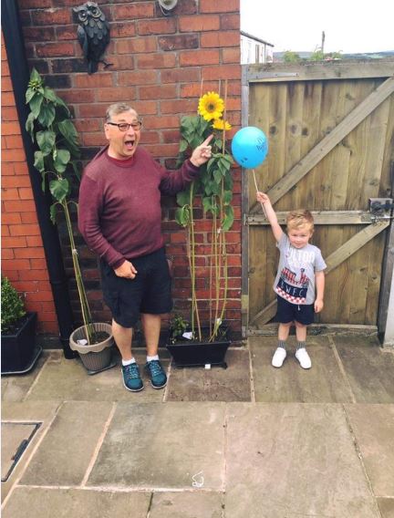Young boy and man stood either side of a tall sunflower in a back garden.