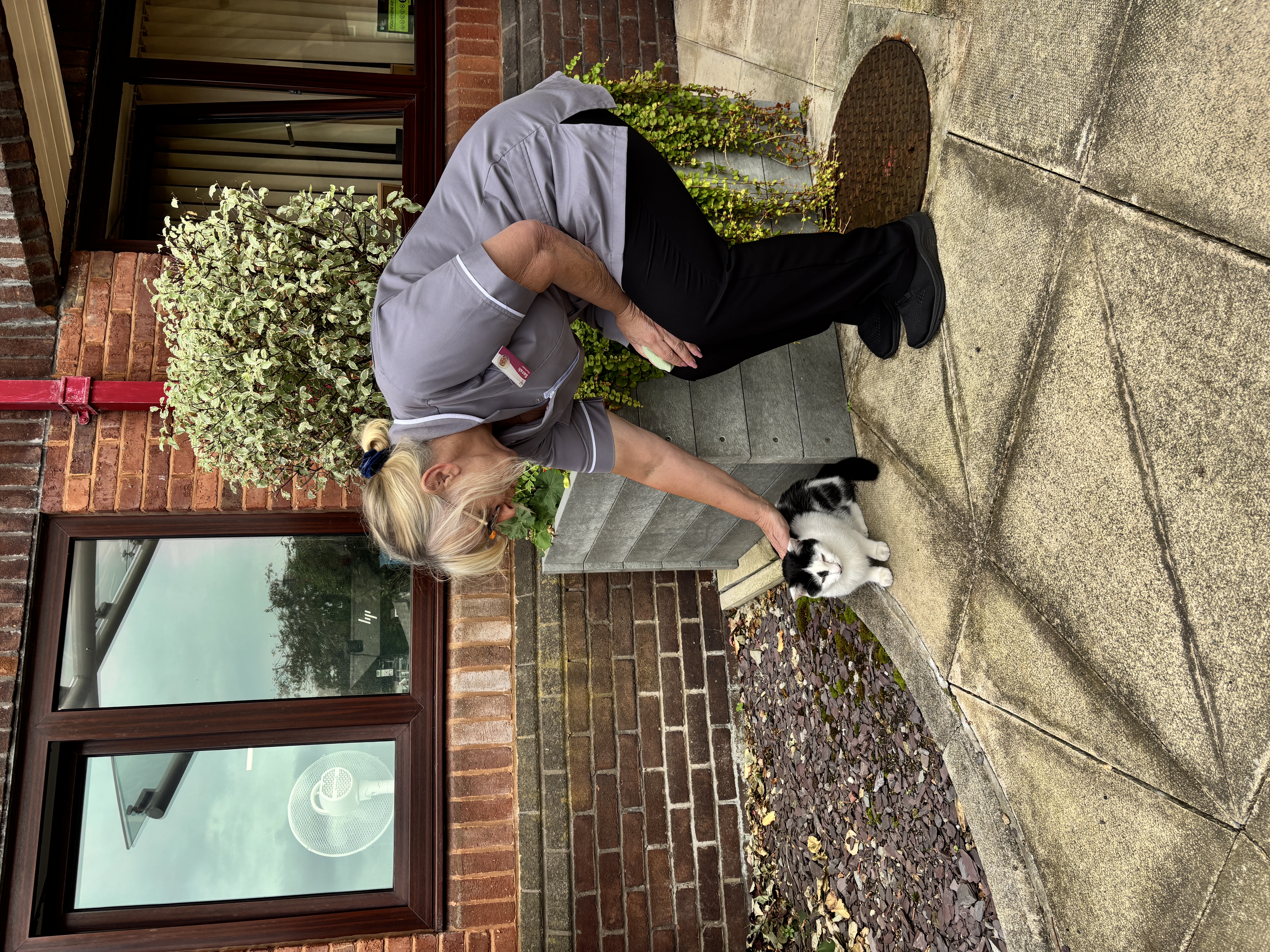 bolton hospice lost cat