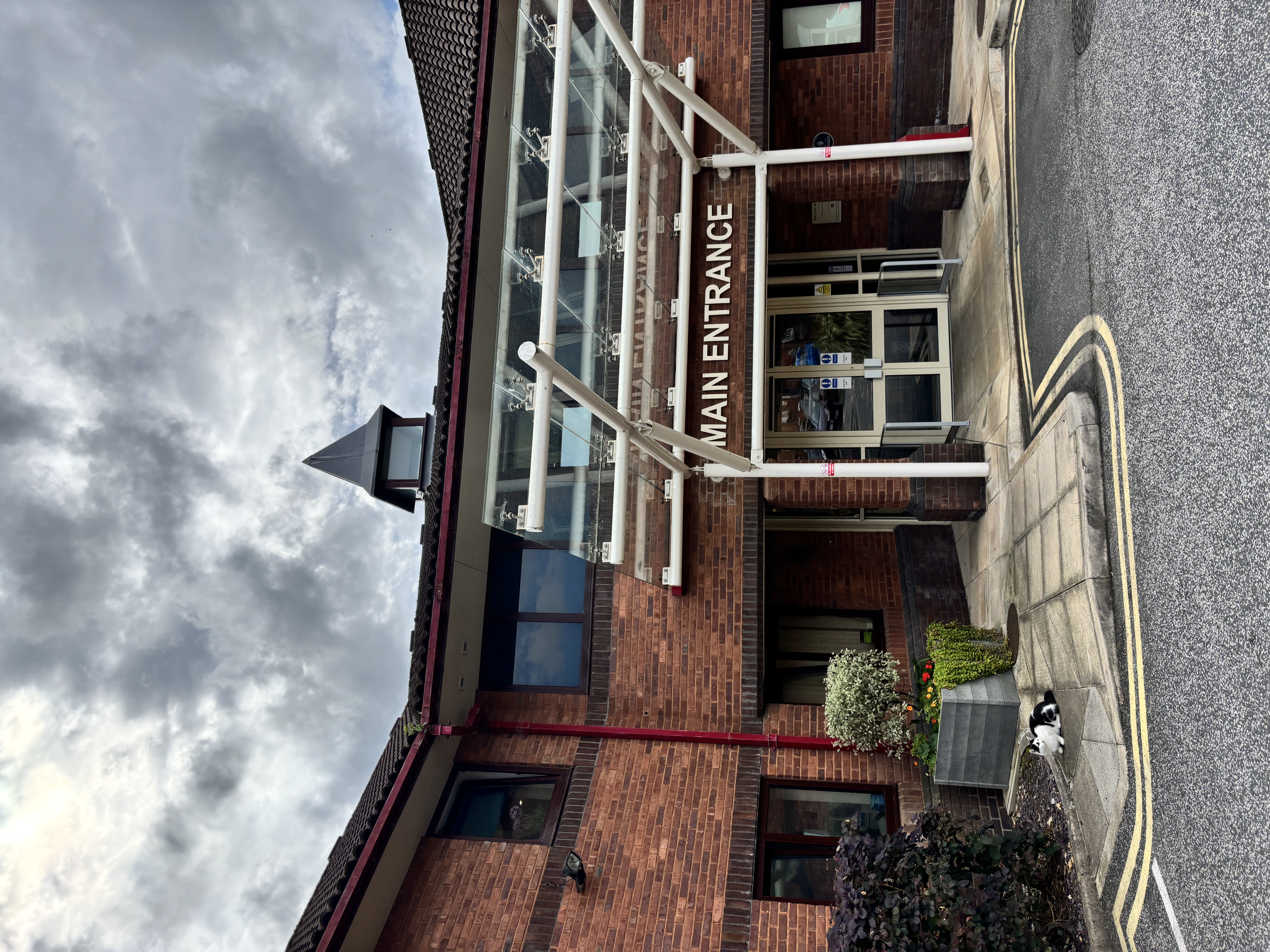 cat outside bolton hospice