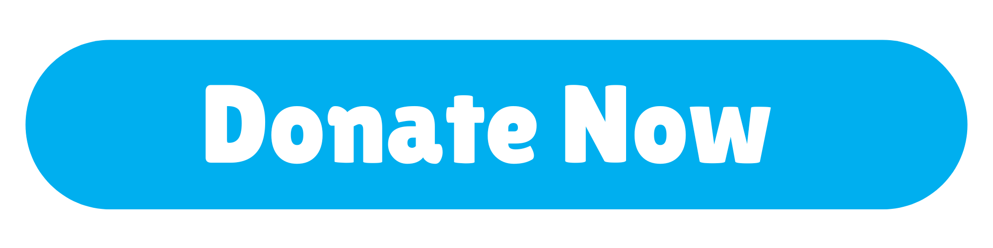 Donate Now 