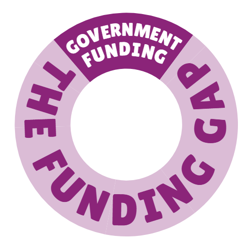 The funding gap