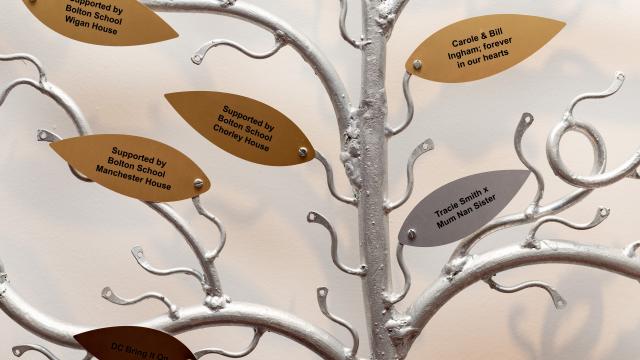 Tree of life