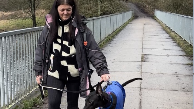 Dog Walking Fundraisers