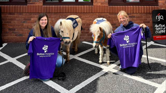 Bolton Hospice Ponies