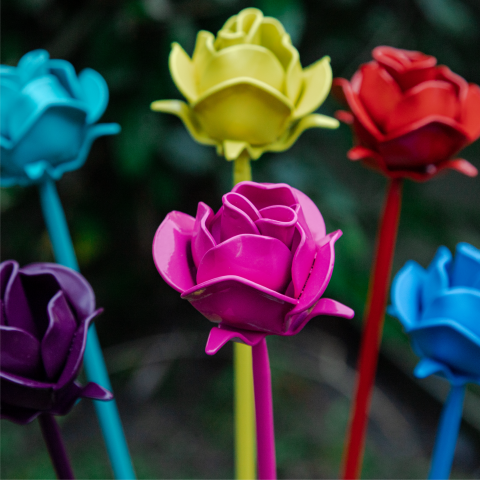 Eternal Roses