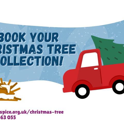 Christmas Tree Collections 