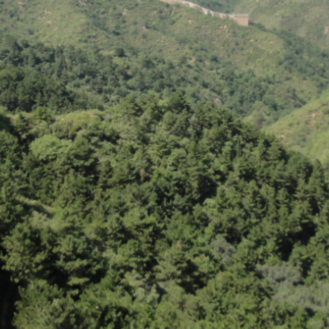 Great Wall of China